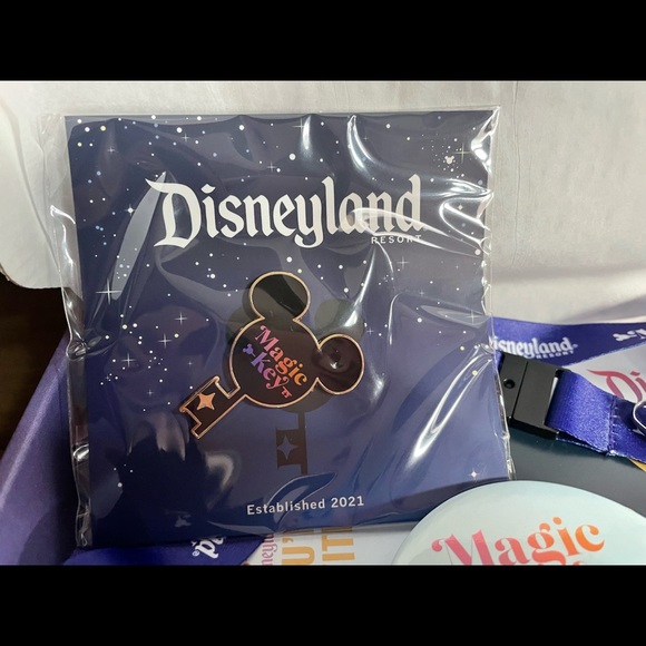 NWB Disneyland Magic Key Exclusive Promo Box - Picture 5 of 5